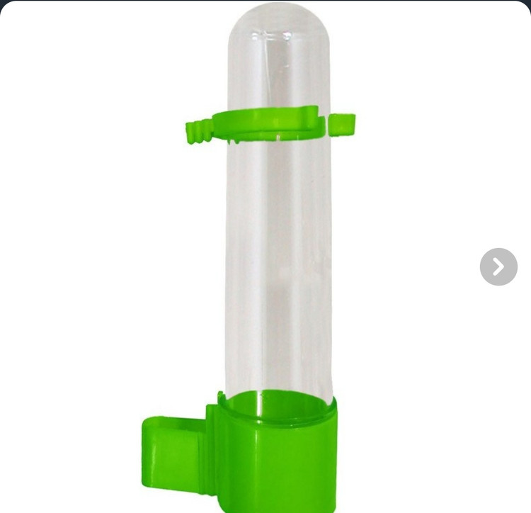 آبخوری پرنده روکنی